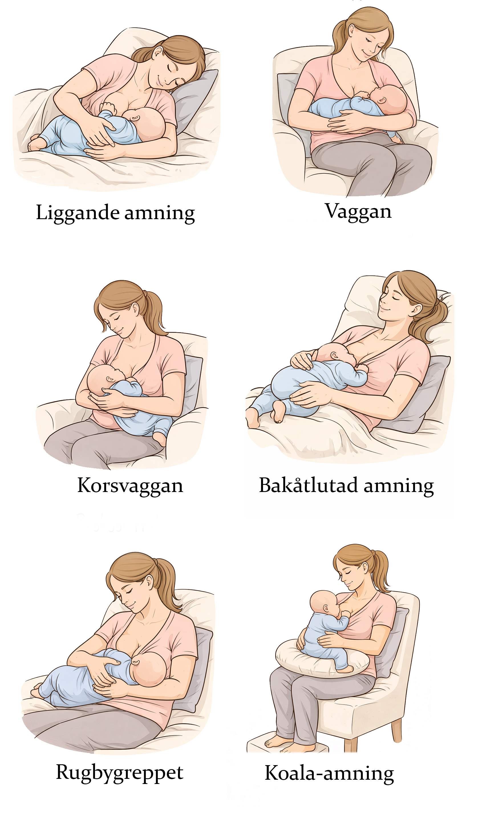 Illustrationer över olika amningsställningar